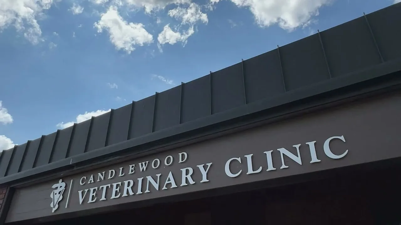 The Candlewood Veterinary Clinic sign under a wide blue sky