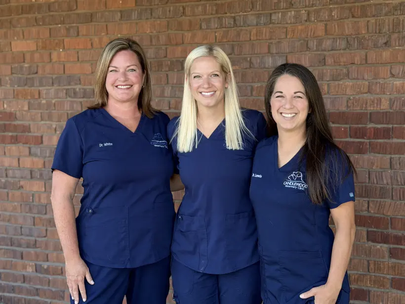 Dr. Grieves, Dr. White and Dr. Lewis in navy scrubs in front of the clinic&rsquo;s brick wall