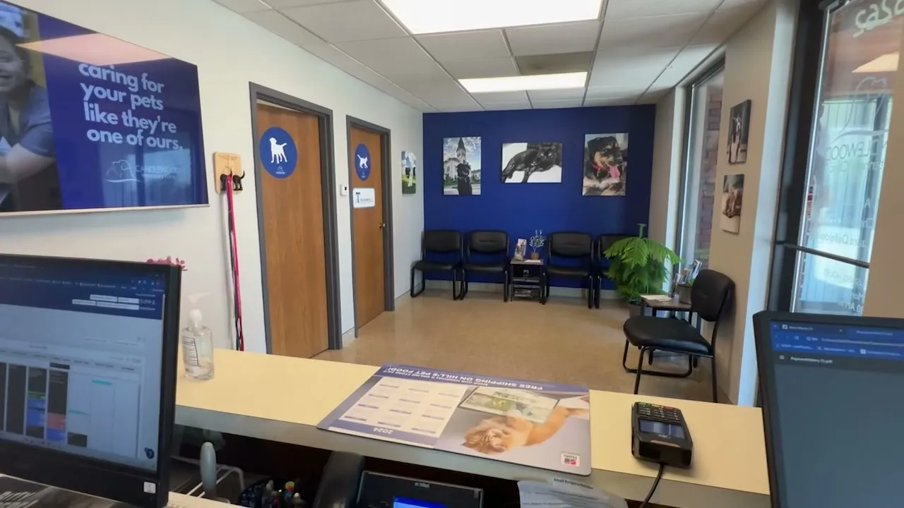 The lobby with its navy feature wall