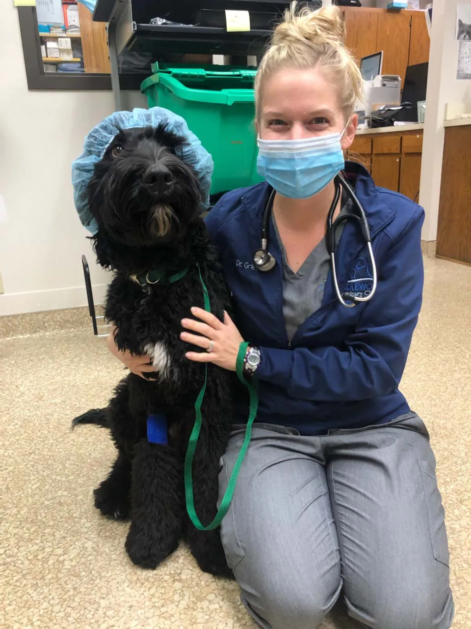 A team member in a surgical mask kneeling beside a black curly-coated dog wearing a surgical cap
